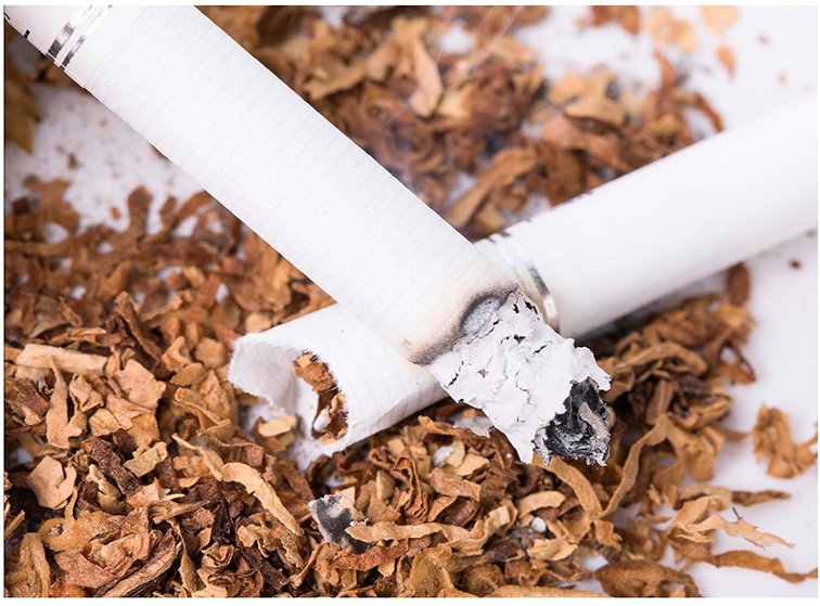 MS2Vertical9100 液相質(zhì)譜聯(lián)用系統(tǒng)測(cè)定煙草特有N-亞硝胺解決方案